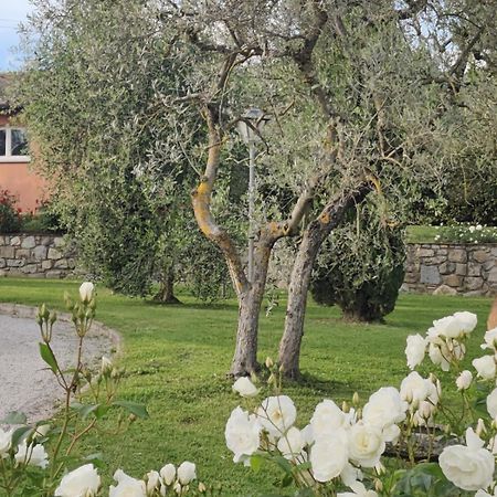 Vila La Casa Delle Rose Terranuova Bracciolini Exteriér fotografie