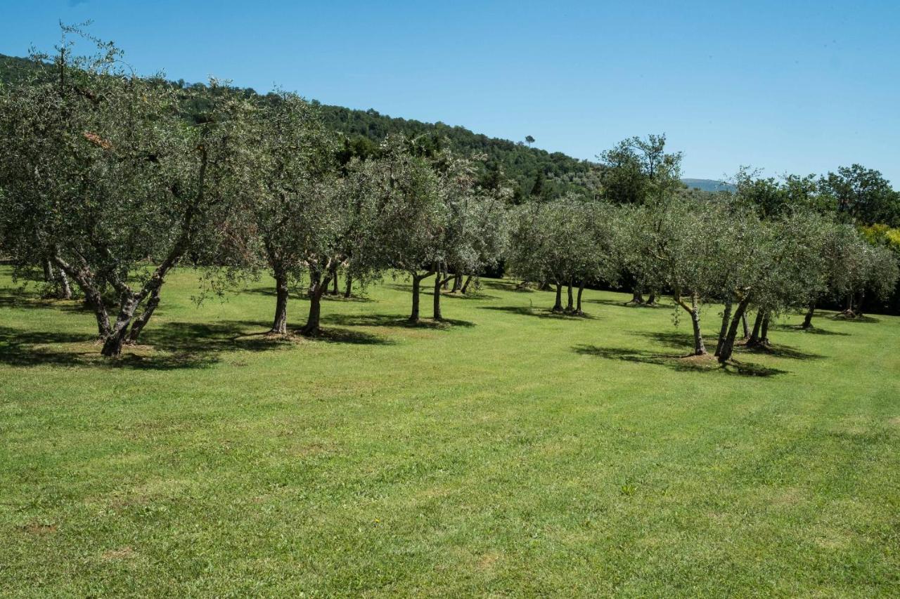 Vila La Casa Delle Rose Terranuova Bracciolini Exteriér fotografie